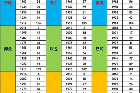 1979 年五行属什么